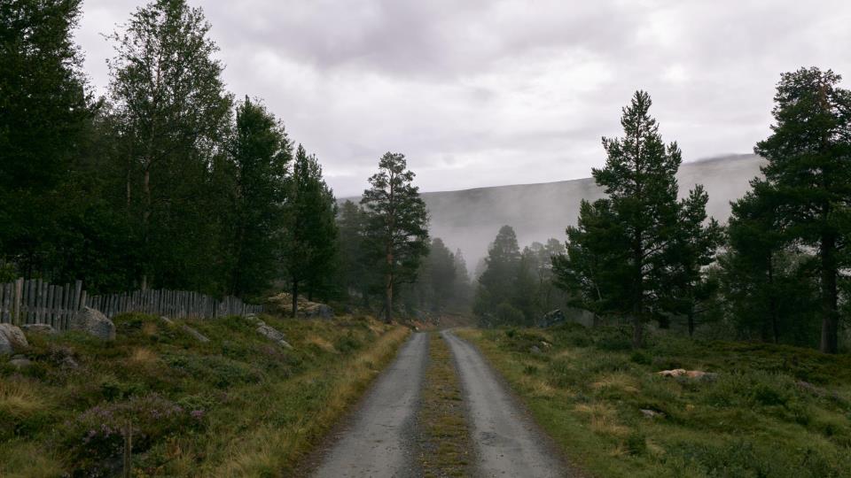 Lenke til artikkel: Bli med og form framtida i Skjåk - spørjeundersøking! 