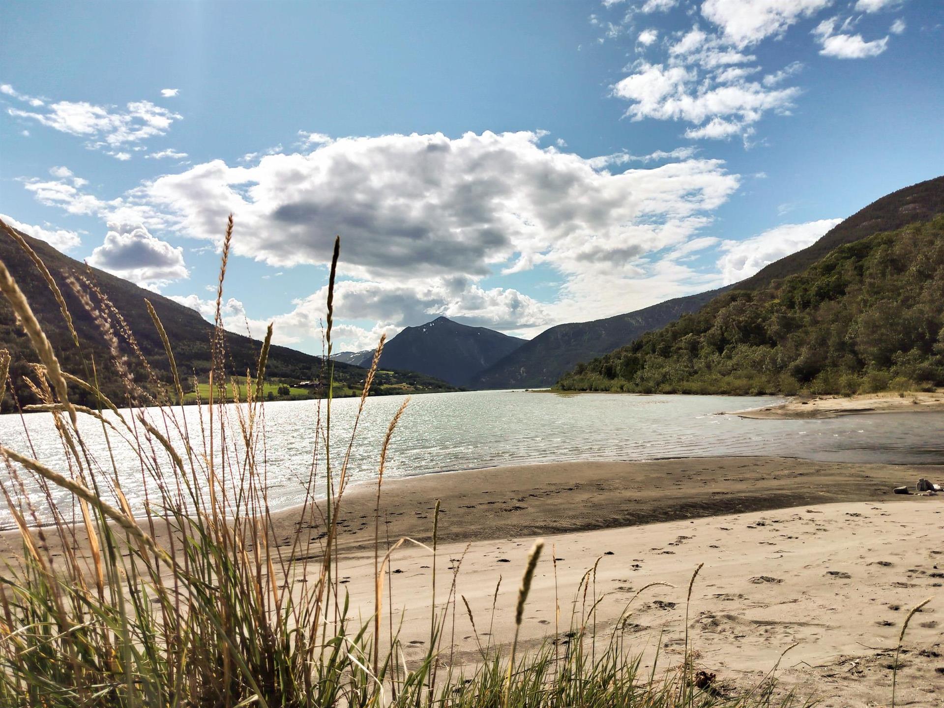 Strand med høgt gress. Utsikt mot Lom 
