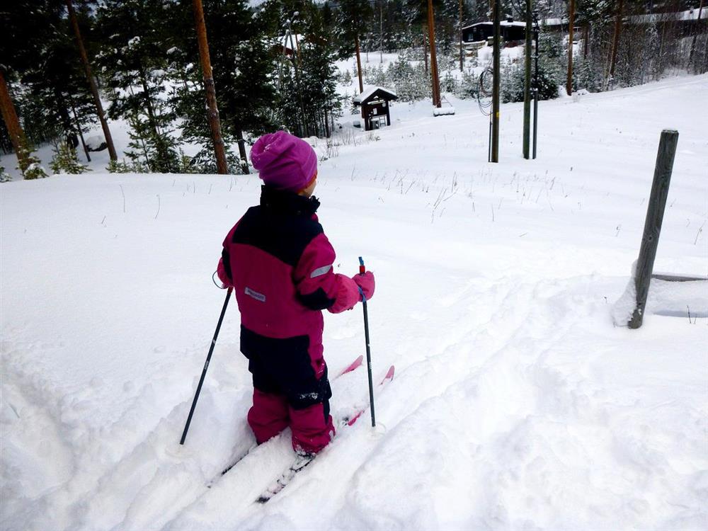 Klikk for stort bilde