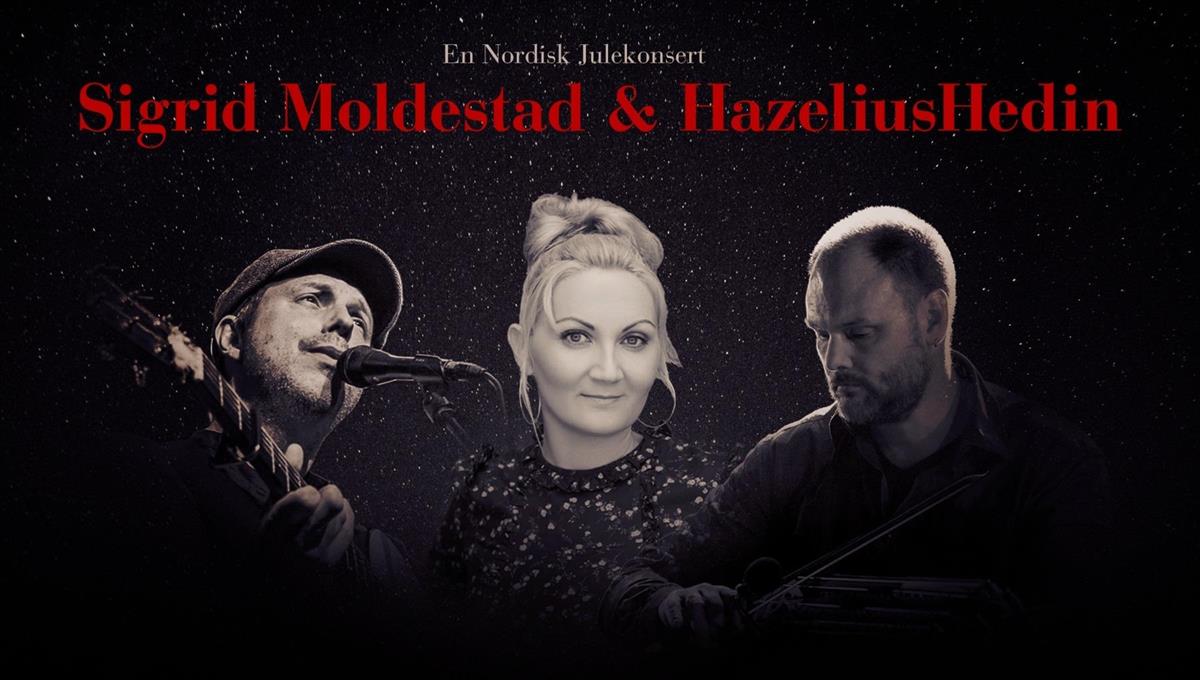 Sigrid Moldestad og HazeliusHedin - Klikk for stort bilde
