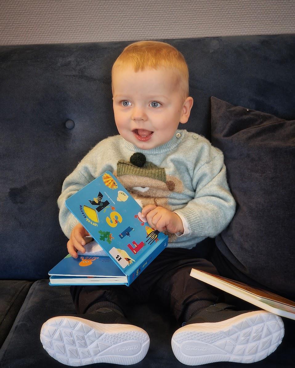 Ein liten biblitoteklånar