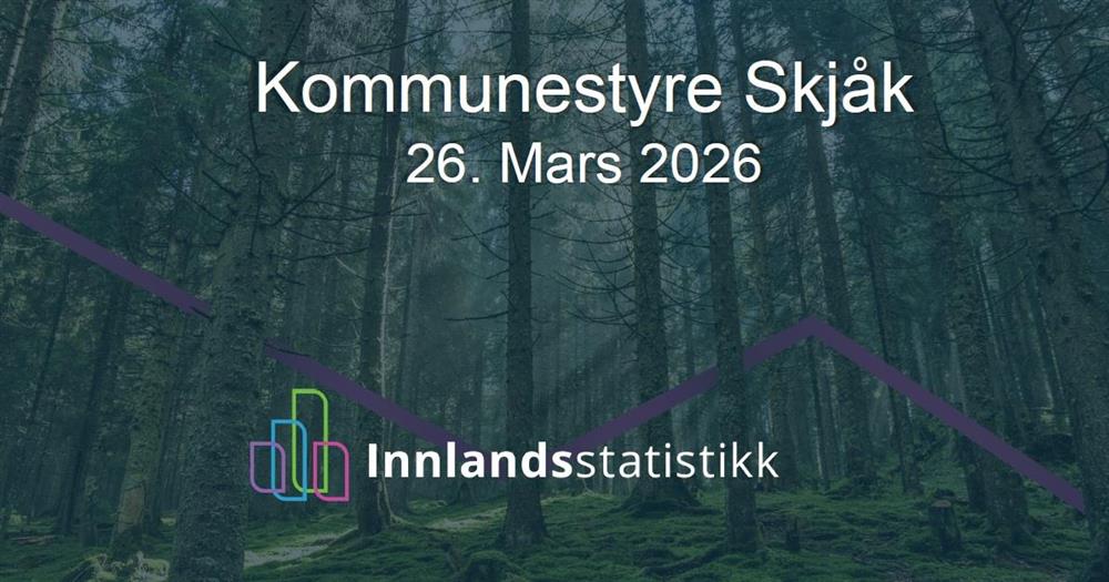 Skjermdump frå presentasjon - Klikk for stort bilde