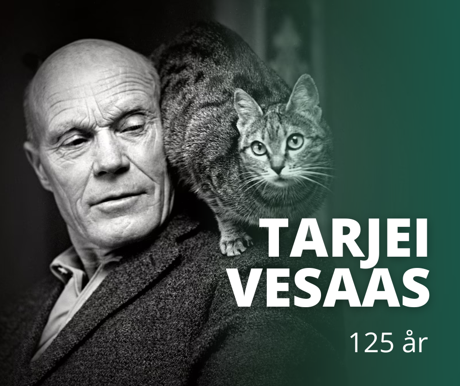 Tarjei Vesaas og katten, av Ulrichsen, R. C., Aftenposten, NTB scanpix.  - Klikk for stort bilde